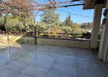 Foto 46 - Villa Strada Comunale Pozzo dei Cani, Putignano - foto 46