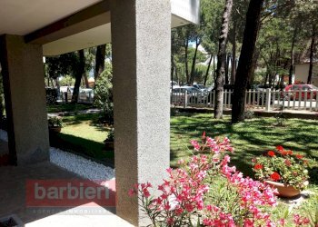 Foto 1 - Quadrilocale Anello del Pino
 
1, Cervia - foto 1
