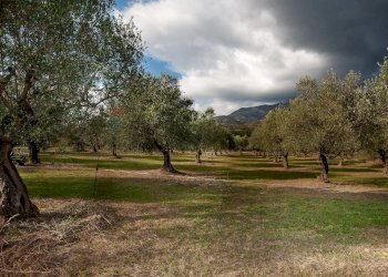 Giardino - Rustico Alvito - foto 23