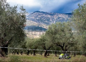 Vista delle montagne - Rustico Alvito - foto 26