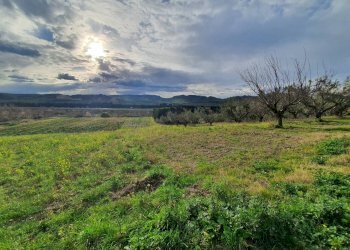 Foto 1 - Terreno agricolo Viale Europa
 
snc, Catanzaro - foto 1