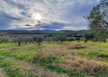 Foto 3 - Terreno agricolo Viale Europa
 
snc, Catanzaro - foto 3