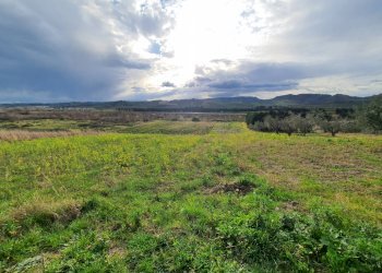 Foto 4 - Terreno agricolo Viale Europa
 
snc, Catanzaro - foto 4