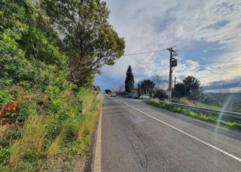 Foto 6 - Terreno agricolo Viale Europa
 
snc, Catanzaro - foto 6