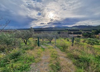 Foto 3 - Terreno agricolo Viale Europa
 
snc, Catanzaro - foto 3