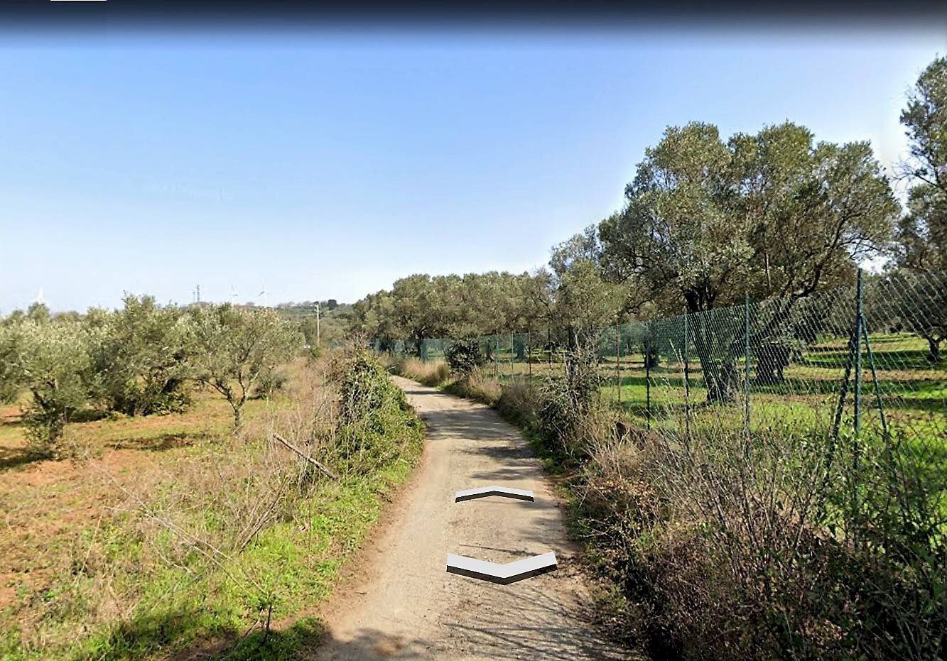 Foto 2 - Agricultural land Contrada Fiego, Borgia - photo 2