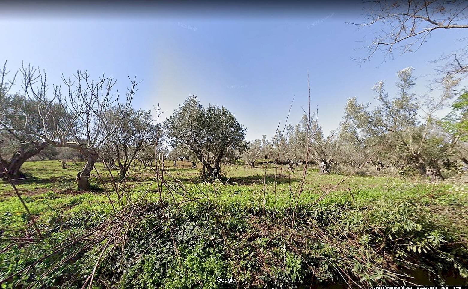 Foto 3 - Agricultural land Contrada Fiego, Borgia - photo 3