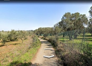 Foto 2 - Agricultural land Contrada Fiego, Borgia - photo 2