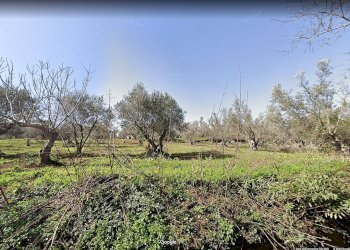 Foto 3 - Agricultural land Contrada Fiego, Borgia - photo 3