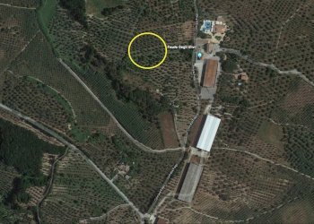 Foto 4 - Agricultural land Contrada Fiego, Borgia - photo 4