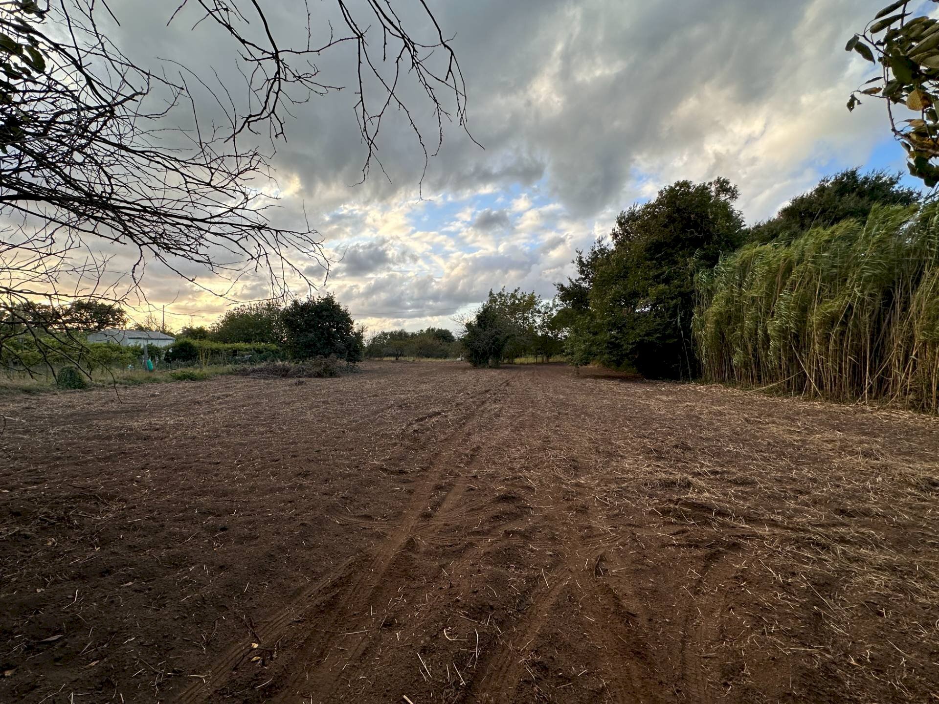 Foto 2 - Agricultural land via San Fantino, Borgia - photo 2