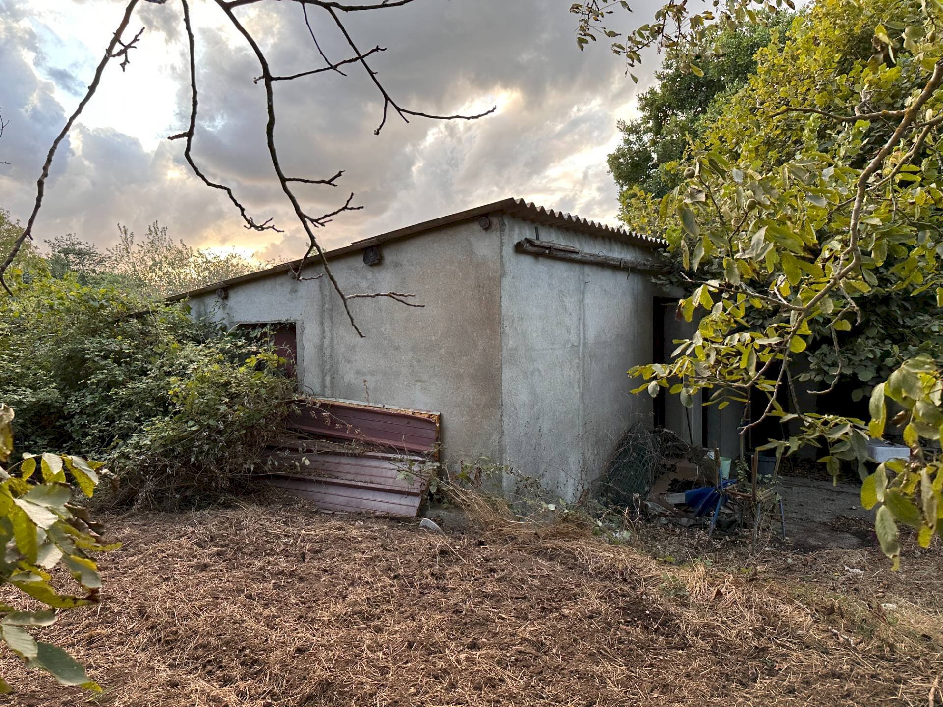 Foto 3 - Agricultural land via San Fantino, Borgia - photo 3