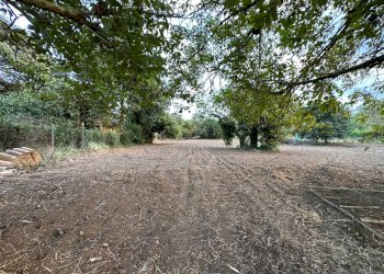 Foto 1 - Agricultural land via San Fantino, Borgia - photo 1