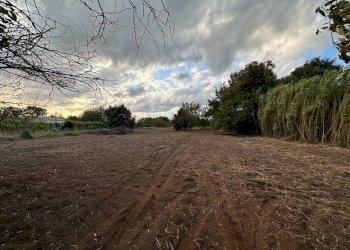 Foto 2 - Agricultural land via San Fantino, Borgia - photo 2