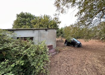 Foto 6 - Agricultural land via San Fantino, Borgia - photo 6