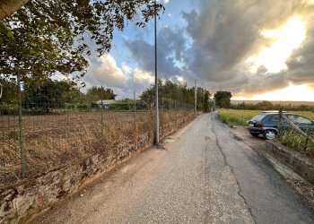 Foto 7 - Agricultural land via San Fantino, Borgia - photo 7