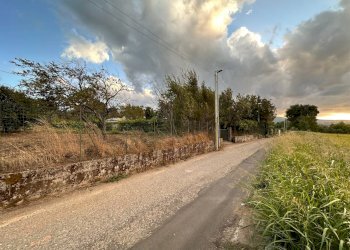 Foto 8 - Agricultural land via San Fantino, Borgia - photo 8