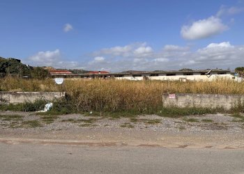 Foto 2 - Terreno edificabile Via Donnici, Borgia - foto 2