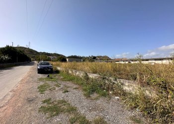 Foto 3 - Terreno edificabile Via Donnici, Borgia - foto 3