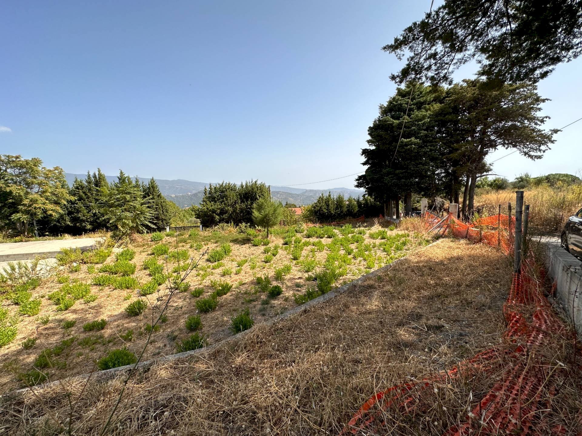 Foto 2 - Terreno edificabile Via Giovanni Andrea Serrao, Catanzaro - foto 2