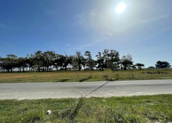 Foto 1 - Trilocale Via dei Narcisi, Sellia Marina - foto 1