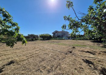 Foto 5 - Terreno edificabile Via Andrea Cefally Jr., Borgia - foto 5