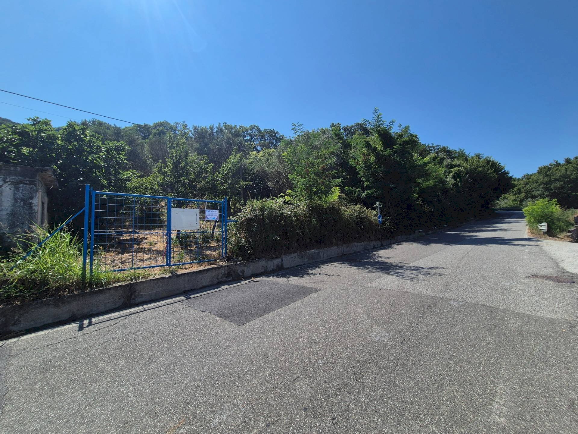 Foto 1 - Terreno agricolo Strada Provinciale 49, Caraffa di Catanzaro - foto 1