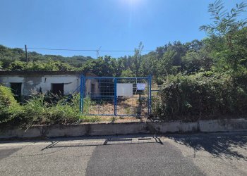 Foto 2 - Terreno agricolo Strada Provinciale 49, Caraffa di Catanzaro - foto 2