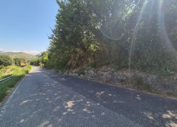 Foto 4 - Terreno agricolo Strada Provinciale 49, Caraffa di Catanzaro - foto 4