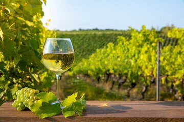 240_F_619041018_m6oKfbAogxJbiMqt7tMZxC1deKoy9a7R.j - Terreno agricolo Mazara del Vallo - foto 3