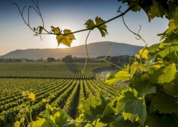 etna7.jpg - Terreno agricolo Mazara del Vallo - foto 2