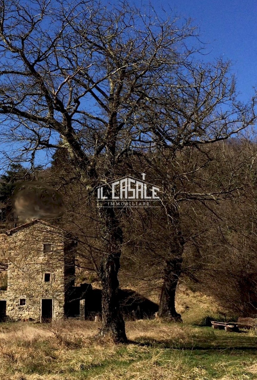 3corellag.jpg - Rustico Dicomano - foto 3