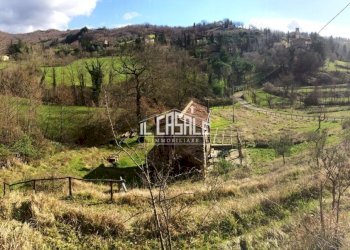 1corellag.jpg - Rustico Dicomano - foto 1