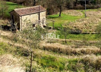 2corellag.jpg - Rustico Dicomano - foto 2