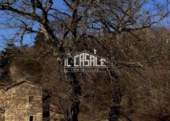 3corellag.jpg - Rustico Dicomano - foto 3