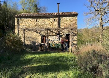 4corellag.jpg - Rustico Dicomano - foto 4