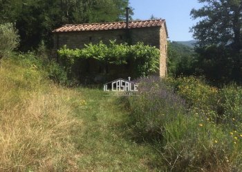 5corellag.jpg - Rustico Dicomano - foto 5