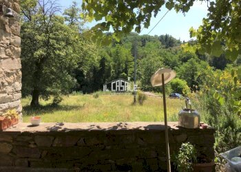 6corellag.jpg - Rustico Dicomano - foto 6