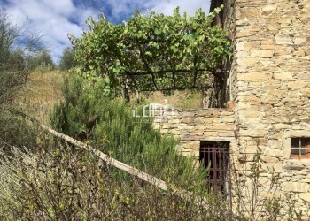 7corellag.jpg - Rustico Dicomano - foto 7