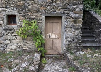 9corellag.jpg - Rustico Dicomano - foto 9