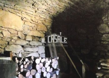 10corellag.jpg - Rustico Dicomano - foto 10