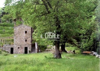 12corellag.jpg - Rustico Dicomano - foto 12