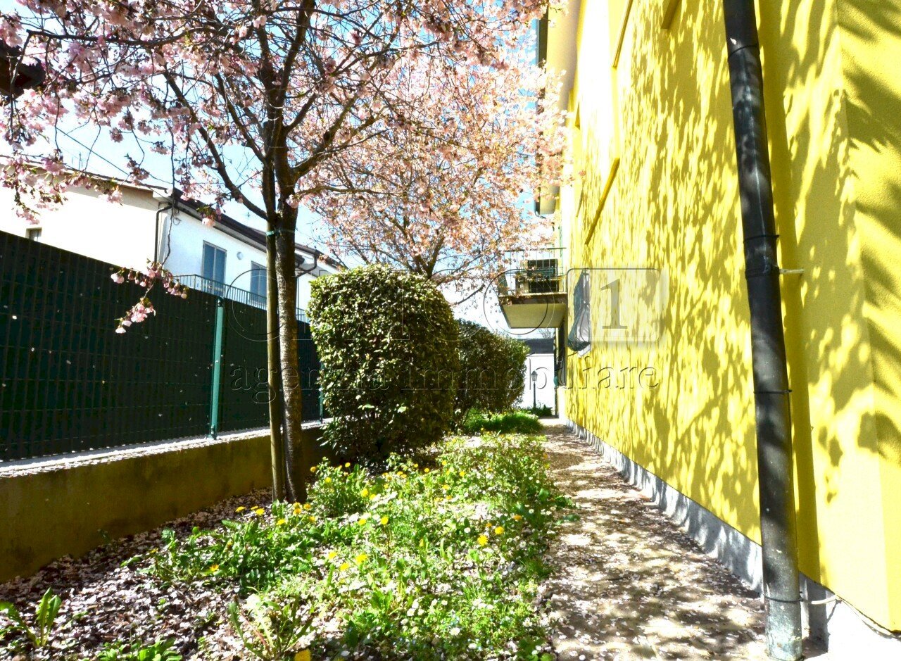 GIARDINO - Villa Via Galileo Galilei 4, Albignasego - foto 1