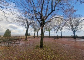 IMG-20251217-WA0125.jpg - Casa indipendente LARGO DEL BASTIONE 3, Todi - foto 18