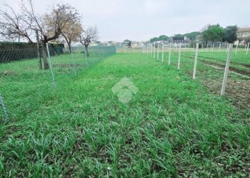 FOTO 18.png - Villa a Schiera VIA Variano, Rimini - foto 18