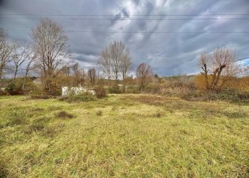 WhatsApp Image 2025-12-19 at 11.32.12 (4).jpeg - Agricultural land Via del Quarticciolo snc, Sant'Angelo Romano - photo 4