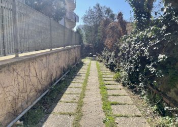 IMG_3977.JPG - Appartamento VIA LOMBARDIA 86, Nettuno - foto 30