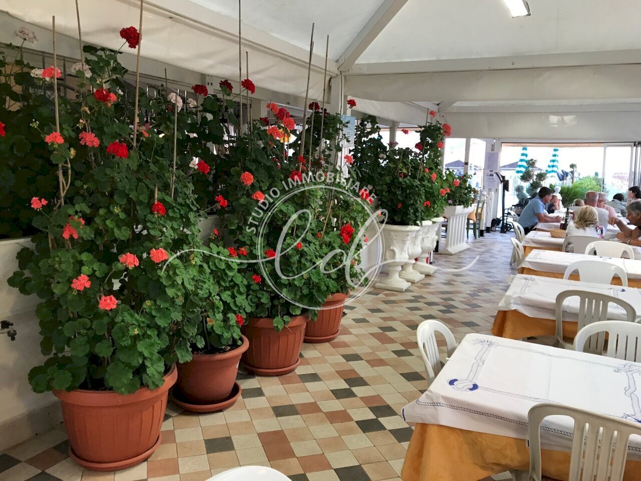 ingresso-principale.jpg - Locale Commerciale Camaiore - foto 3