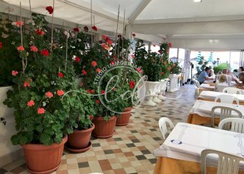 ingresso-principale.jpg - Locale Commerciale Camaiore - foto 3