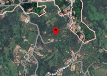 recensione.png - Terreno agricolo Via Rigliano 9, Anagni - foto 2